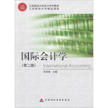 国际会计学-(第二版)