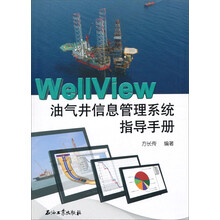 WellView油气井信息管理系统指导手册