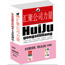 总经理抓管理，带队伍全集（套装全2册）《高效能总经理的七步管理法》　《汇聚公司力量：提升本土公司团队力量的第一本书》