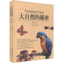 大自然的秘密（套装共4册）