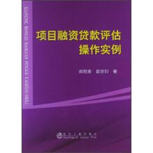 项目融资贷款评估操作实例
