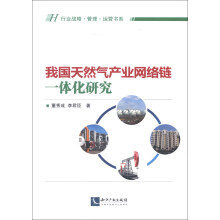 行业战略·管理·运营书系：我国天然气产业网络链一体化研究