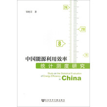 中国能源利用效率统计测度研究