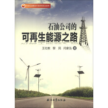 石油公司的可再生能源之路