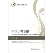 中青年经济学家文库·中国小微金融：贯穿中国中小微企业融资的规划与盈利模式设计