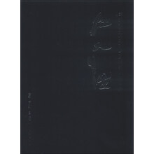 当代中国画坛花鸟画代表人物画集江文湛 