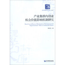产业集群内创业机会价值影响机制研究