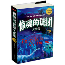 惊魂的谜团大全集