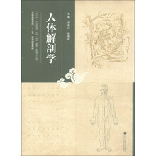 人体解剖学