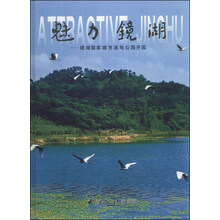 魅力镜湖  