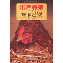 蛋鸡养殖专家答疑