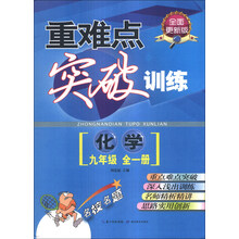 重难点突破训练 化学 九年级  全一册   （改版）