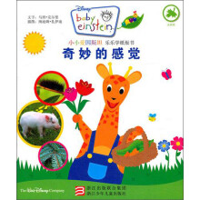 小小爱因斯坦乐乐学纸板书:奇妙的感觉