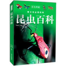 青少年必读经典：昆虫百科