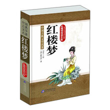红楼梦-中国古典文学名著-生字生词文中注释-无障碍阅读学生版