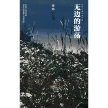 张炜长篇小说年编：无边的游荡