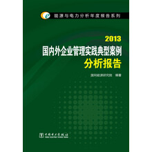2013-国内外企业管理实践典型案例分析报告
