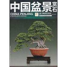 2013-10-中国盆景赏石