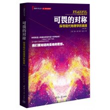 可畏的对称：探寻现代物理学的美丽