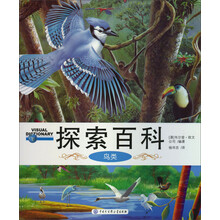 鸟类-探索百科