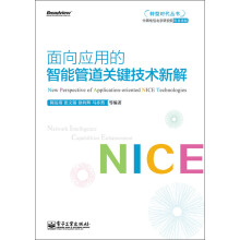 转型时代丛书：面向应用的智能管道关键技术新解