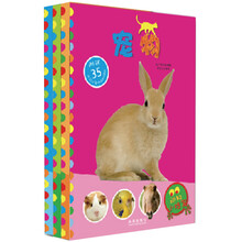动物小档案(套装共4册)