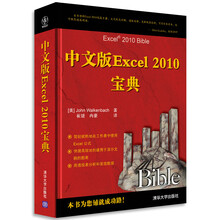 中文版Excel 2010宝典