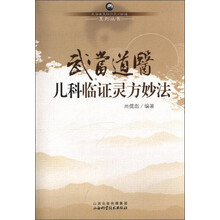 武当道医临证灵方妙法系列丛书：武当道医儿科临证灵方妙法