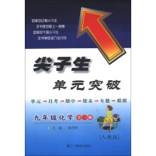 尖子生单元突破：9年级化学（全1册）（人教版）（2013秋）
