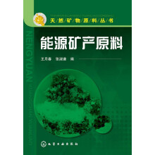 天然矿物原料丛书：能源矿产原料