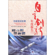 自主创新年度报告（2012）