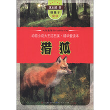 动物小说大王沈石溪·精华爱读本：猎狐