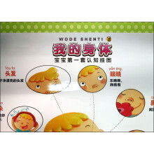 宝宝第一套认知挂图：我的身体