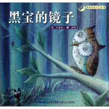 黑宝的镜子