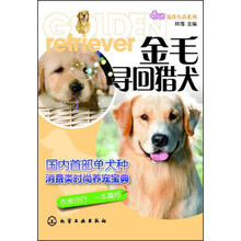宠尚生活系列--金毛寻回猎犬