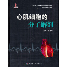 心肌细胞的分子解剖