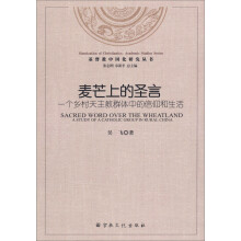 基督教中国化研究丛书·麦芒上的圣言：一个乡村天主教群体中的信仰和生活