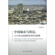 中国城市马赛克--人口多元化进程及其社会影响
