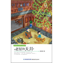 老屋的天井