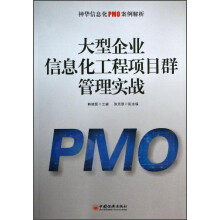 神华信息化PMO案例解析：大型企业信息化工程项目群管理实战