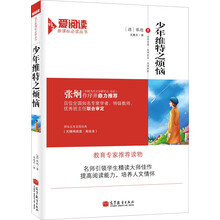 少年维特的烦恼/爱阅读·语文新课标必读丛书