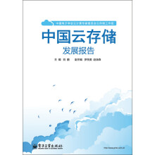 中国云存储发展报告