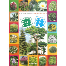 我的第一套学习系列：森林