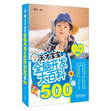 天才宝宝全脑开发大百科500例(3~6岁男孩)(双色)