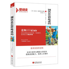 钢铁是怎样炼成的/语文爱阅读新课标必读丛书