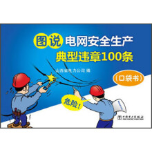 图说电网安全生产典型违章100条(口袋书)