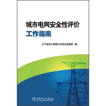 城市电网安全性评价工作指南