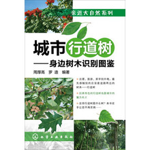 城市行道树-身边树木识别图鉴