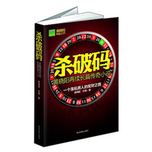 杀破码（承接黄晓阳作品的口碑传颂，再现高手谋略。）