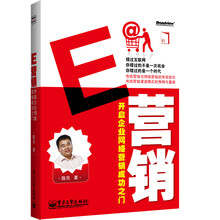 E营销：开启企业网络营销成功之门（附DVD光盘1张）